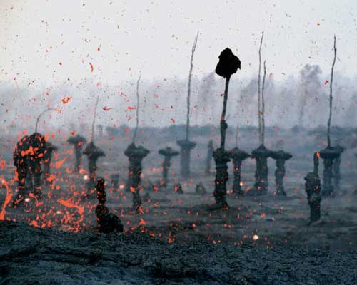 Спасите леса