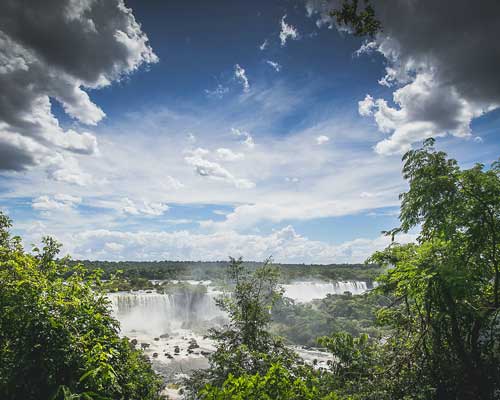 Экологическая активность