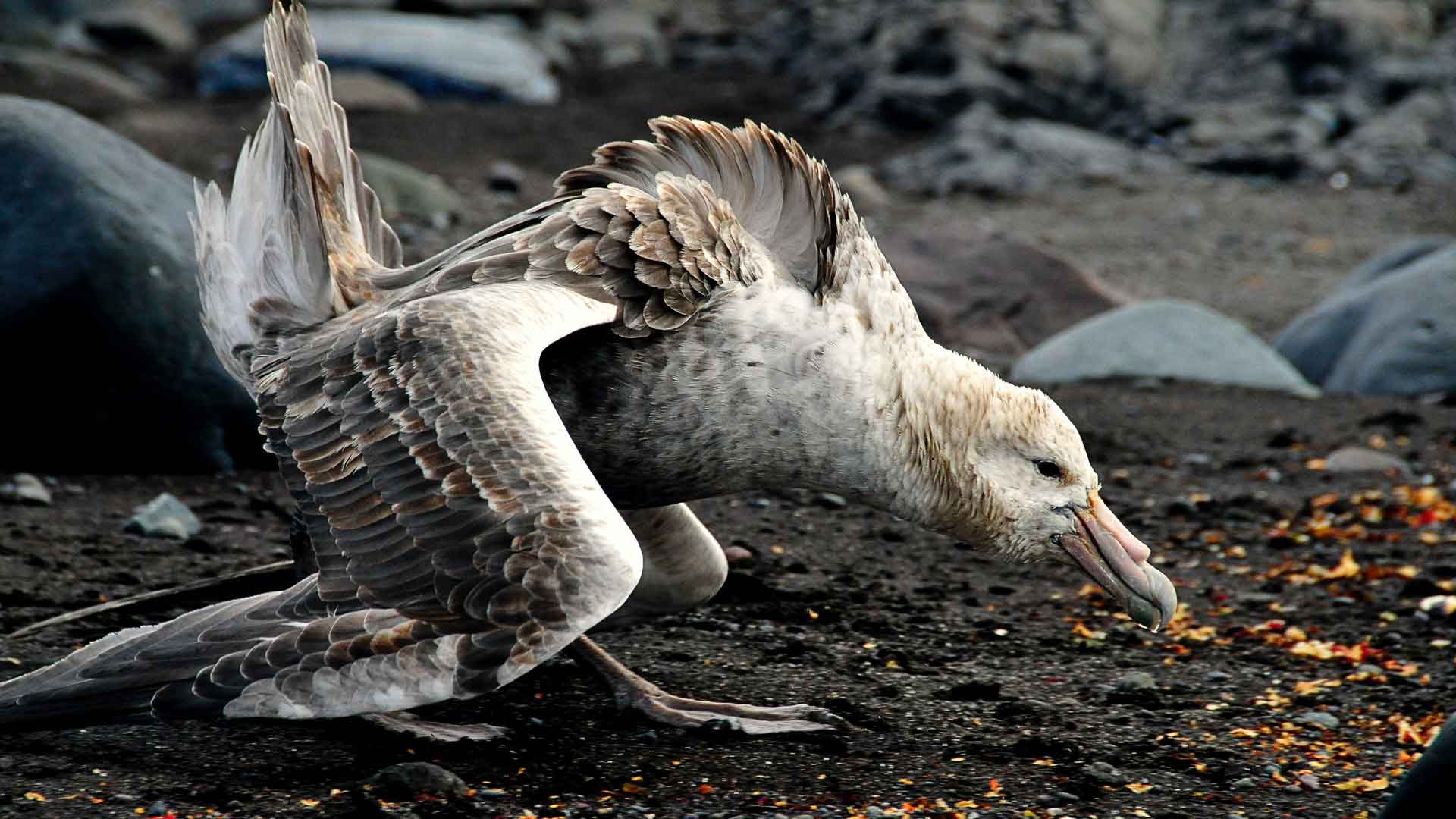 Защита окружающей среды