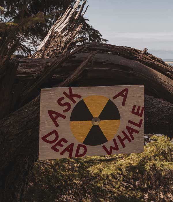 Первая активность по охране окружающей среды