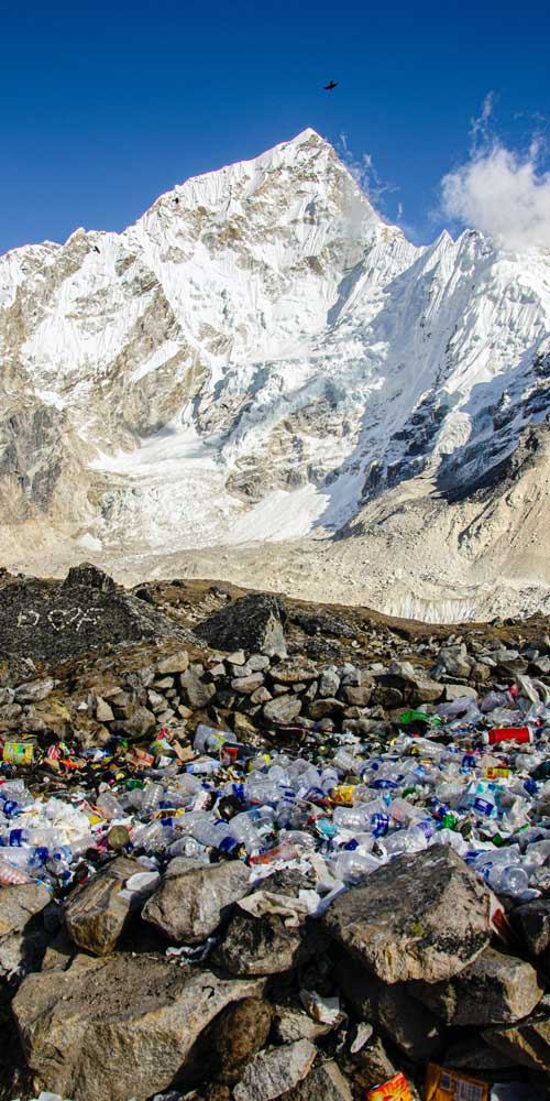 Экологическая акция