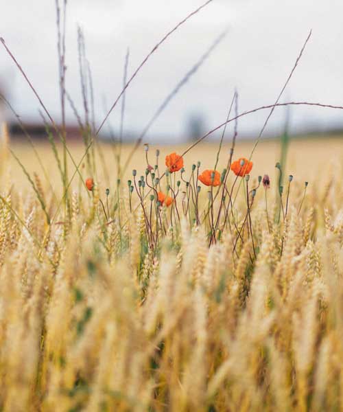 Сбор средств