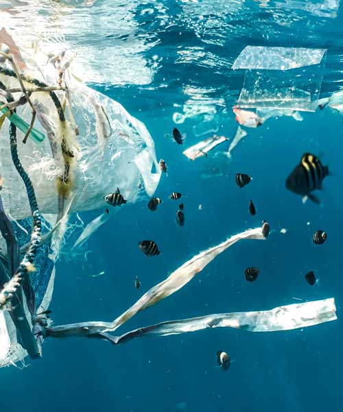 Сотрудничество с организациями